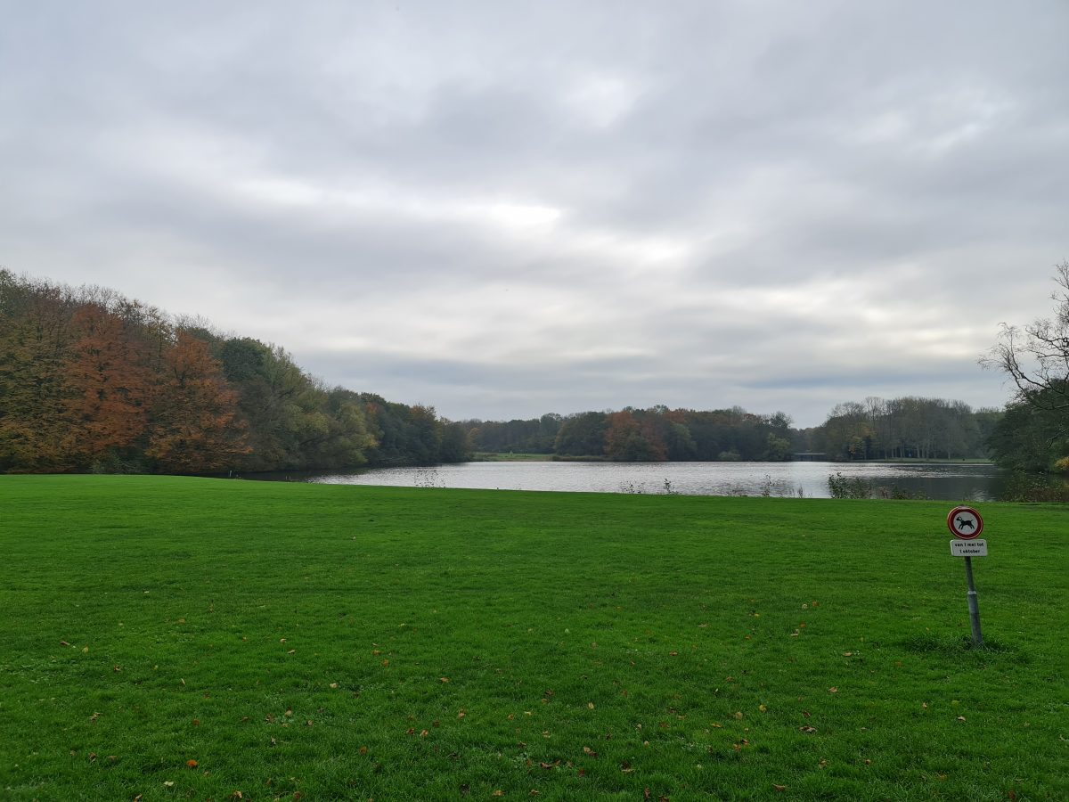 Amsterdamse bos